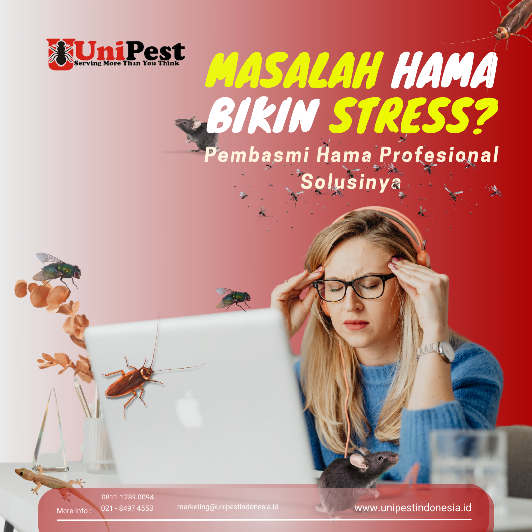 Jasa pest control profesional mengendalikan hama