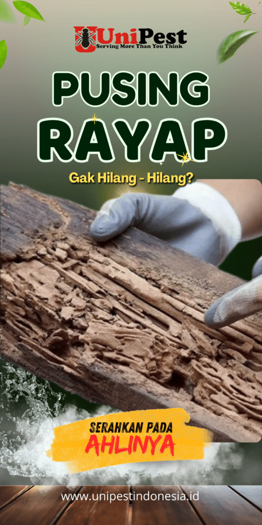 Layanan Pest Control untuk Pembasmi Rayap