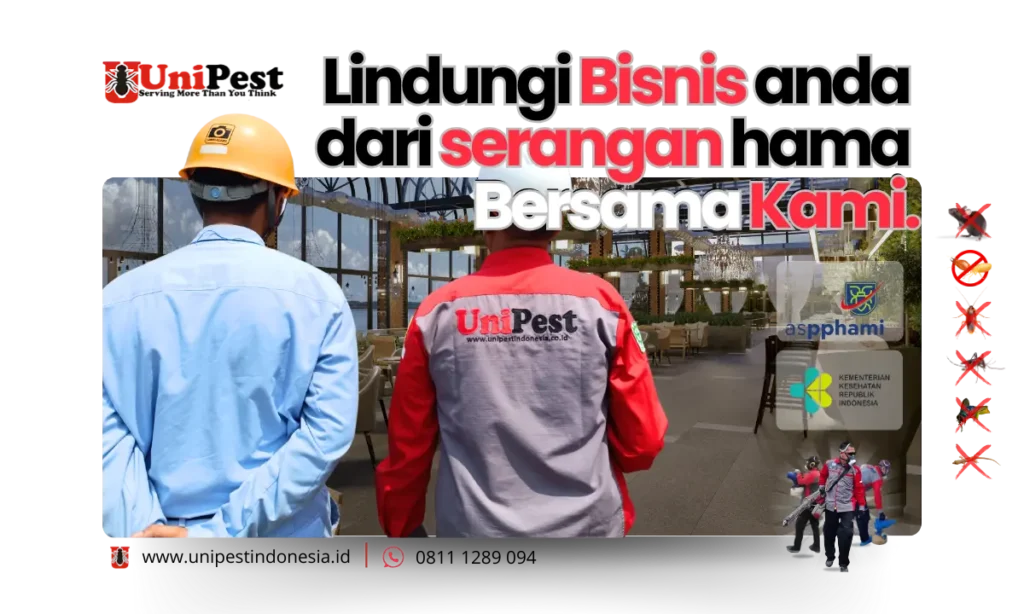 Teknisi pest control sedang melakukan pemantauan (Survei) di lokasi untuk membasmi hama