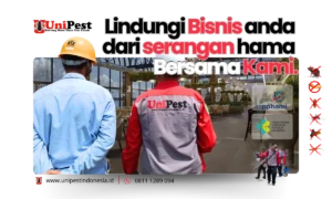 Teknisi pest control sedang melakukan pemantauan (Survei) di lokasi untuk membasmi hama